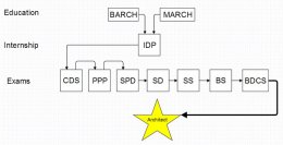 What is the best testing order for the Architect Registration Exam?